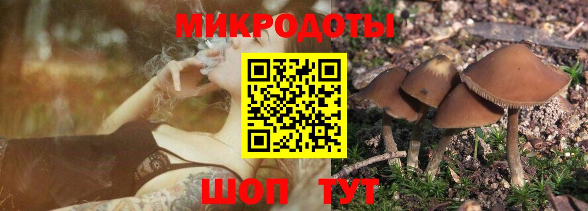 Псилоцибиновые грибы Psilocybine cubensis  Вход с VPN  Тимашёвск 